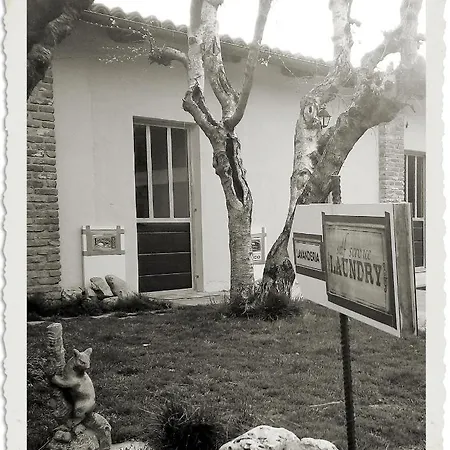 El Cavajer *