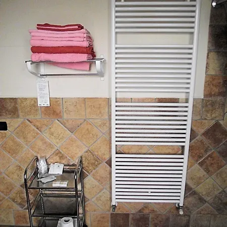 ファームステイ El Cavajer