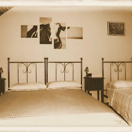 El Cavajer ファームステイ *